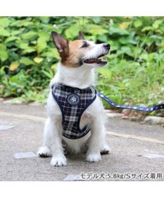 PET PARADISE J.PRESS ビエラチェック ハーネス リード【SS】小型犬