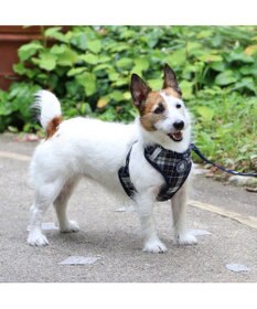 PET PARADISE J.PRESS ビエラチェック ハーネス リード【ＳＳ】小型犬