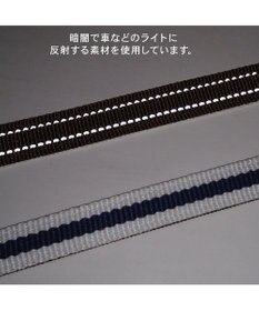 PET PARADISE ペットパラダイス ネイビー ライン入り リード ＳＳ～Ｓ 小型犬