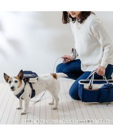 PET PARADISE ペットパラダイス ネイビー ライン入り リード ＳＳ～Ｓ 小型犬