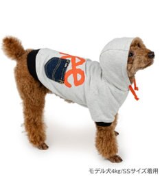 PET PARADISE Lee ビッグ ロゴ パーカー 《グレー》 小型犬