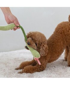 PET PARADISE ペットパラダイス 干支 へび ロープトイ