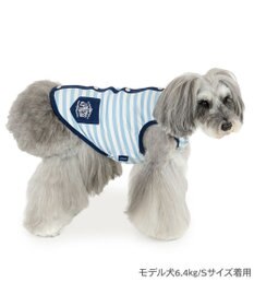 PET PARADISE J.PRESS 接触冷感 ボーダー タンクトップ 小型犬