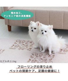 PET PARADISE スヌーピー マルチケアマット(30×30cm)8枚入り