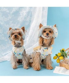 PET PARADISE リサとガスパール エコメイド シトラス ワンピース 小型犬