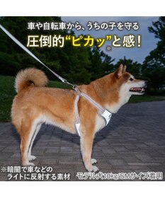 PET PARADISE ペットパラダイス 超反射 切り替え ハーネス＆リード ＳＭ 《ブルーグリーン》