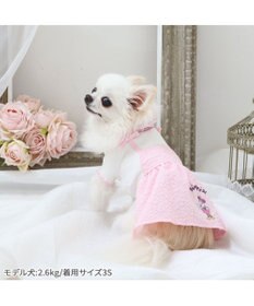 PET PARADISE  ディズニー ミニー ワンピース 《ぷくっと花柄》 小型犬