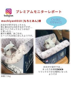 PET PARADISE スヌーピー ドライブ ボックス【小型犬・多頭用】