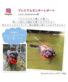 PET PARADISE ペットパラダイス ライフベスト【SS~S】 《オレンジ》