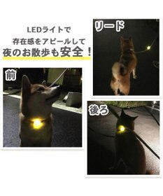 PET PARADISE ミニオン ＬＥＤ お散歩ライト