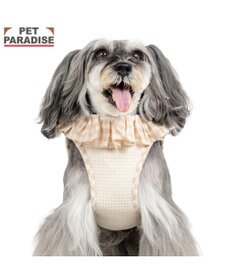 PET PARADISE ペットパラダイス くまちゃん ピエロ襟ベストハーネス Ｓ