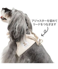 PET PARADISE ペットパラダイス くまちゃん ピエロ襟ベストハーネス Ｓ