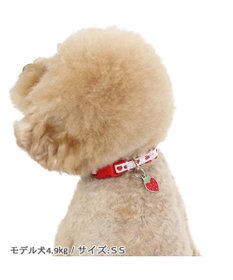 PET PARADISE ペットパラダイス 苺 チャーム付き首輪 3S