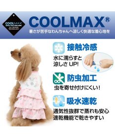 犬 夏服 ひんやり クール ペットパラダイス ディズニー ミニーマウス