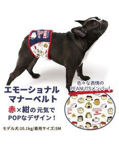 PET PARADISE 犬 服 夏服 スヌーピー マナーベルト【中型犬】 【大型犬】 エモーショナル グッズ 男の子 マナーベルト