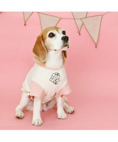 PET PARADISE スヌーピー バースデーＴシャツ 中型犬