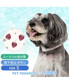 ワンコ ペットパラダイス 28℃クールリング 《いちご》 S 小型犬 / PET