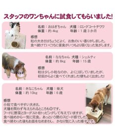 PET PARADISE ペットパラダイス  国産 ドッグフード フローラ3kg
