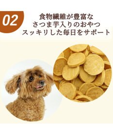 PET PARADISE さつま芋 ささみ チップ 100g  大袋
