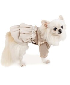 PET PARADISE ペットパラダイス プレミアム ペティヒート ワンピース 《花刺繍》 小型犬