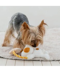 PET PARADISE スヌーピー アンディ ロープトイ