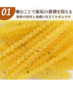 PET PARADISE デンタルガム さつまいも 100g 国産