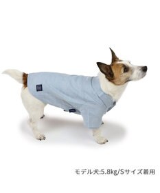 PET PARADISE J.PRESS シャンブレーシャツ 小型犬
