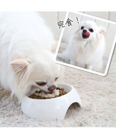 PET PARADISE リアルフード パウチスープ チキン＆ブロッコリー 50g×3パック 国産