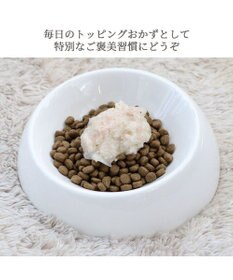 PET PARADISE リアルフード パウチスープ チキン＆ブロッコリー 50g×3パック 国産