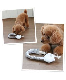 PET PARADISE ペットパラダイス 引っ張り トイ 《雲/星》