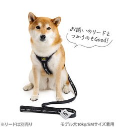PET PARADISE Lee ロゴアクティブ ハーネス ＳＭ