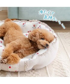 PET PARADISE ペットパラダイス クールカドラー 丸型 《苺花柄》 Ｍ