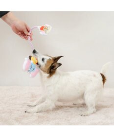 PET PARADISE ディズニー ダンボ &ティモシー  ロープトイ