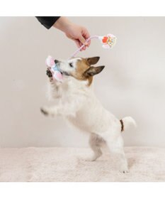 PET PARADISE ディズニー ダンボ ＆ティモシー  ロープトイ