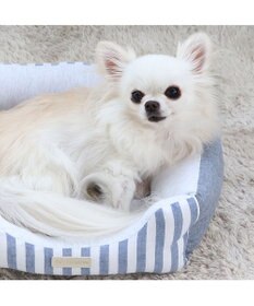 PET PARADISE ペットパラダイス　ストライプカドラー《ブルー》 S 超小型犬