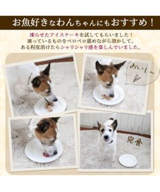 PET PARADISE 【24個セット】 猫缶 まとめ買い キャットフード まぐろほぐし 75g×24  《しらす/ 紅鮭 /ほたて》