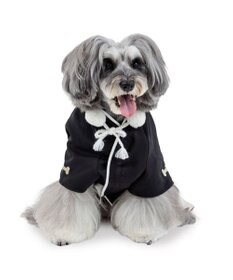 PET PARADISE ペットパラダイス 紋付き刺繍袴 小型犬