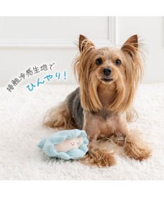 PET PARADISE ペットパラダイス 貝殻 クール トイ