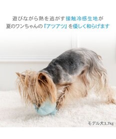 PET PARADISE ペットパラダイス 貝殻 クール トイ