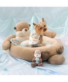 PET PARADISE ペットパラダイス 貝殻 クール トイ