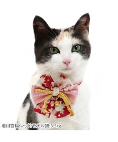 PET PARADISE ペットパラダイス 和帯 ねこ首輪 《赤》 小 / 中