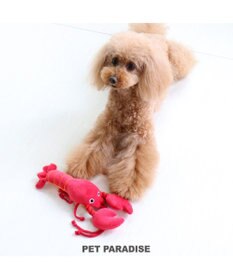 犬用品 ペットグッズ 犬 おもちゃ ペットパラダイス 犬 おもちゃ 伊勢えび おうちで遊ぼう おうち時間 犬 おもちゃ オモチャ ペットのペットトイ 玩具 Toy 小型犬 おもちゃ かわいい おもしろ インスタ映え Pet Paradise 通販 雑貨とペット用品の通販サイト