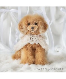 PET PARADISE cherircouture ドットリボン ポンチョ 《ホワイト》 小型犬