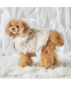 PET PARADISE cherircouture ドットリボン ポンチョ 《ホワイト》 小型犬