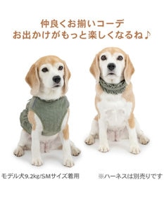 PET PARADISE ペットパラダイス ペタルオリーブ首輪 ＳＭ