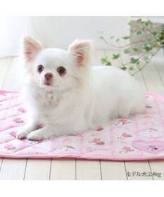 PET PARADISE ディズニー ミニーマウス レース クール マット 小型犬 48×40㎝