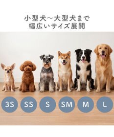 PET PARADISE ペットパラダイス くまちゃん スリットシューズ ３Ｓ