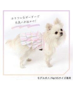 PET PARADISE 犬の服 夏 ひんやり クール メッシュ 接触冷感 虫よけ ボーダーキャミソール 【小型犬】クールマックスエコメイド