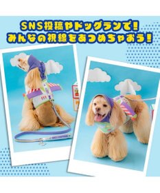 PET PARADISE ディズニー トイ・ストーリー バズ リード ＳＭ
