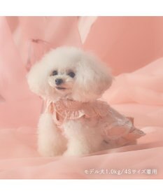 PET PARADISE cherircouture フリルカラーワンピース 小型犬